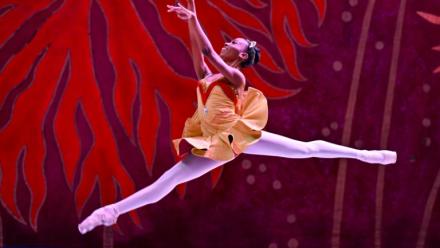 La danseuse classique Laura Kamila Rojas, lors d'une représentation du Ballet national de Cuba, à La Havane, le 8 mai 2026