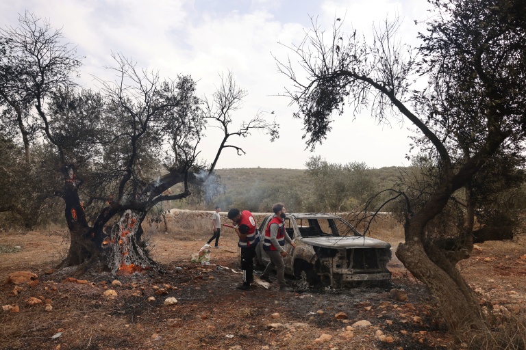 Des bénévoles palestiniens inspectend une oliveraie incendiée par des colons israéliens près de Ramallah, en Cisjordanie occupée, le 16 octobre 2026