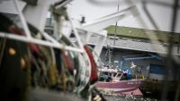 Le président du comiLes pêcheurs sont réunis jeudi et vendredi pour leurs assises à Cherbourg, en Normandie, pour débattre de l'avenir du secteur, récemment bousculé par la flambée des prix du carburant.té national des pêches appelle à "lever les obstacles" au renouvellement de la flotte de pêche française
