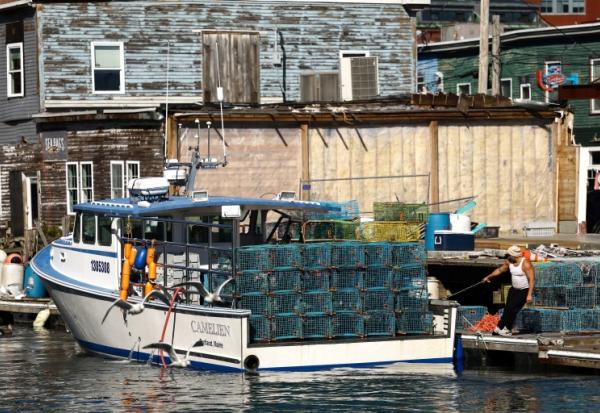 Un bateau de pêche rentre au port de Portland, dans le Maine (nord-est des États-Unis) après une matinée en mer, le 12 octobre 2026