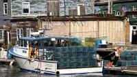 Un bateau de pêche rentre au port de Portland, dans le Maine (nord-est des États-Unis) après une matinée en mer, le 12 octobre 2026