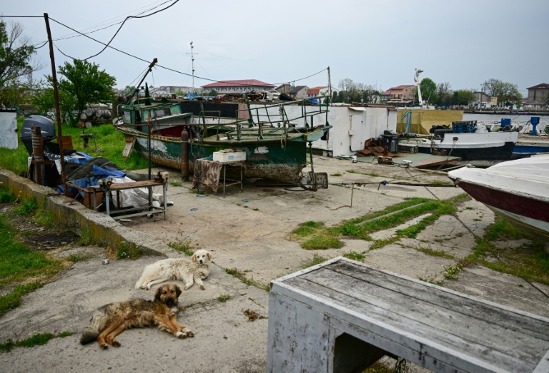 Des bateaux de pêche à Sulina en Roumanie le 9 mai 2026