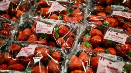 Des fraises dans un supermarché Grand Frais à Salaise-sur-Sanne, en Isère, le 21 mai 2026