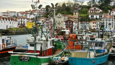 Le port de Saint-Jean-de-Luz à l'arrêt, le 22 janvier 2025, en raison de l'interdiction de presque toute la pêche commerciale (bateaux de 8 mètres ou plus) dans le golfe de Gascogne afin de protéger les dauphins