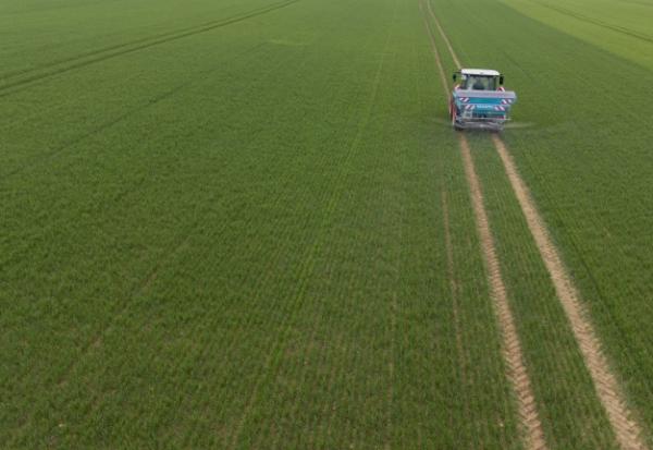 Cultiver sans pesticide tout en conciliant rendement et performance économique, "c'est possible" pour l'institut de recherche Inrae