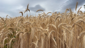AgroGeneration regroupe ses actions par 110