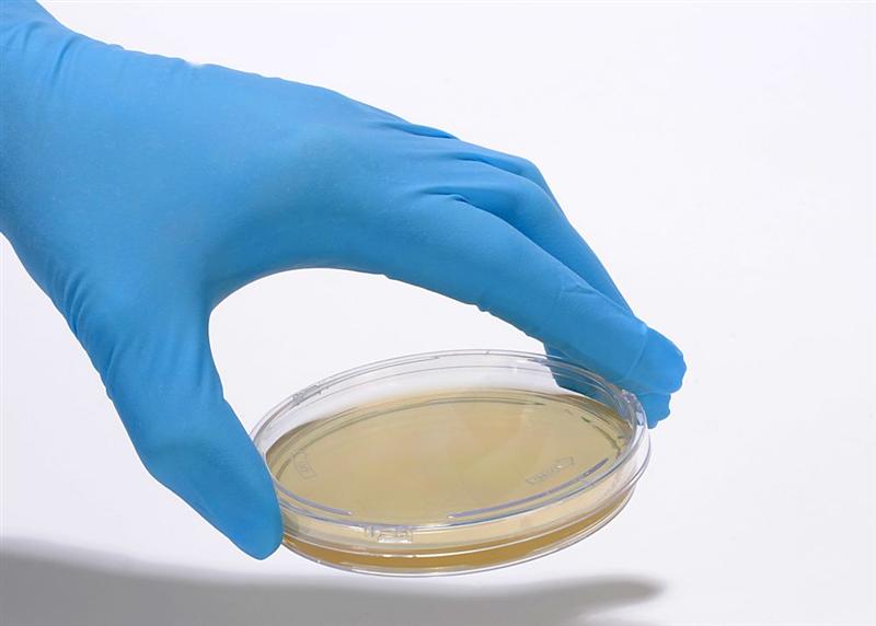 bioMérieux : demande d'autorisation à la FDA américaine pour les nouvelles versions de ses tests BIOFIRE FILMARRAY Gastrointestinal Panels