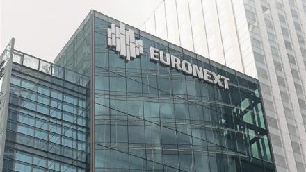 Bluelinea : croissance de 17% au S1