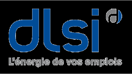 DLSI : évolution de la gouvernance