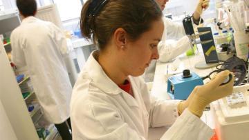 genOway poursuit son développement international
