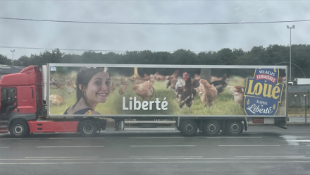 LDC : augmentation de capital réservée aux cadres salariés