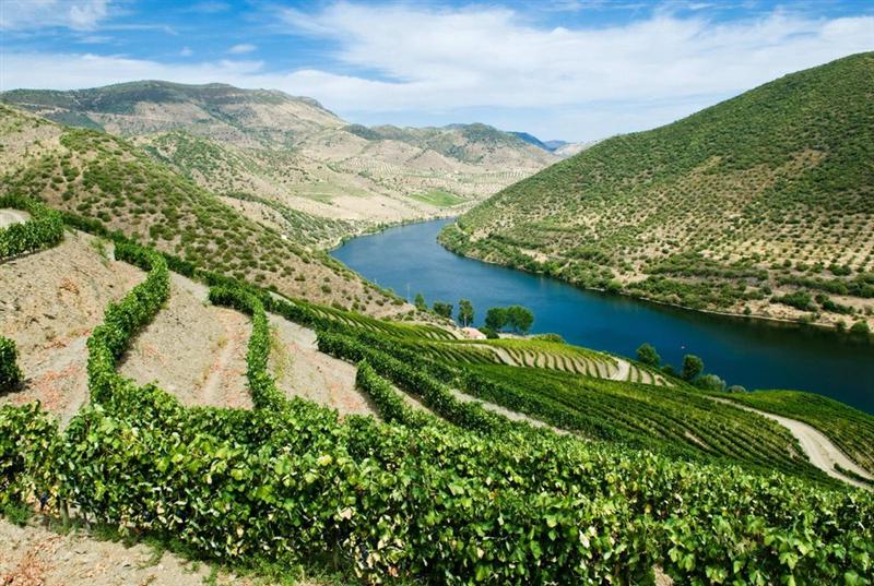 Maison Pommery & Associés : flambe sur un potentiel rapprochement stratégique avec Henkell International