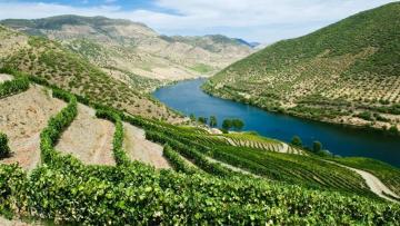 Maison Pommery & Associés : flambe sur un potentiel rapprochement stratégique avec Henkell International