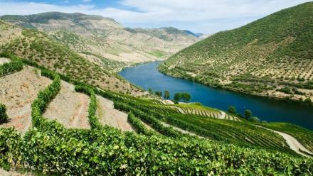 Maison Pommery & Associés : projet de rapprochement avec Henkell International