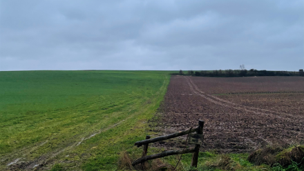 Okwind : chiffre d'affaires semestriel en forte baisse