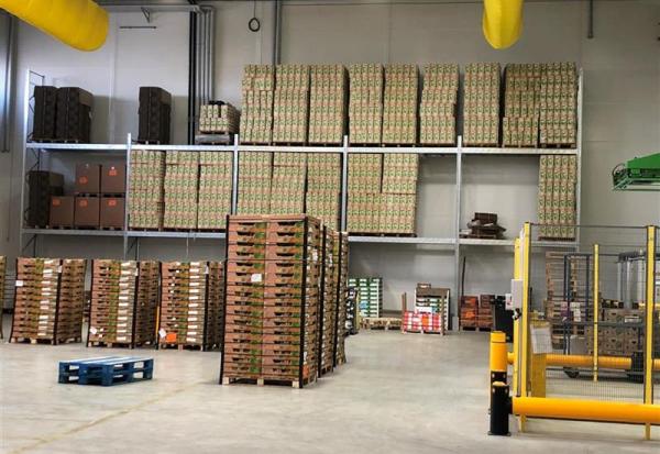 Omer-Decugis : accord pour une plateforme de Dunkerque