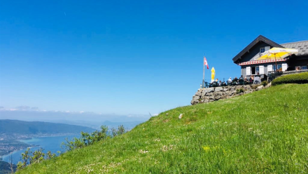 Televerbier vise plus de 5,5% de croissance du chiffre d'affaires pour l'exercice 2025-2026