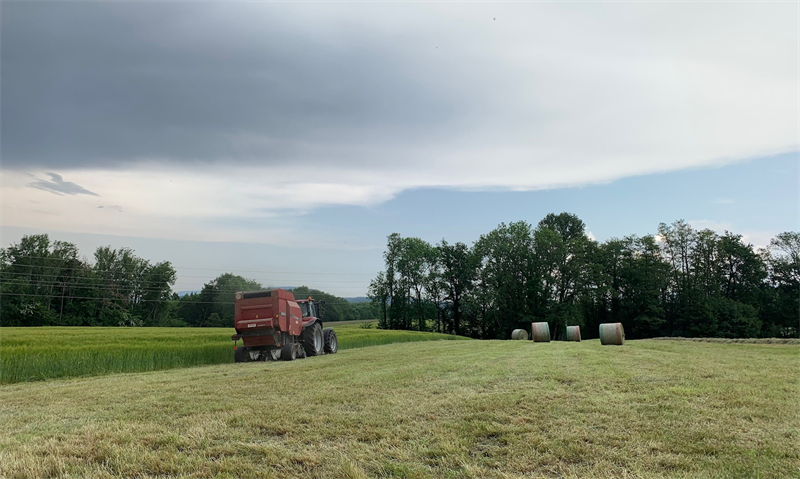 Winfarm anticipe une croissance de l'activité et une progression de l'EBITDA en 2026