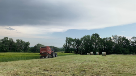 Winfarm anticipe une croissance de l'activité et une progression de l'EBITDA en 2026